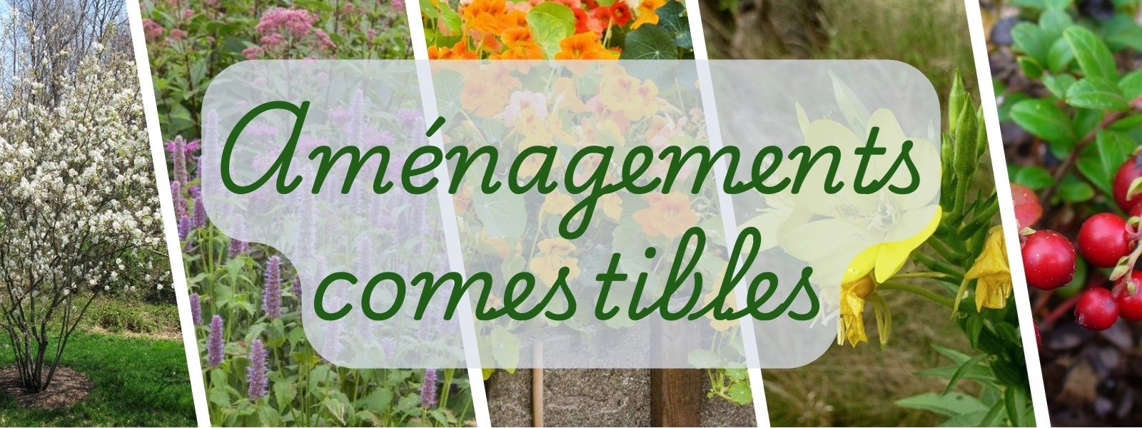 Aménagements comestibles